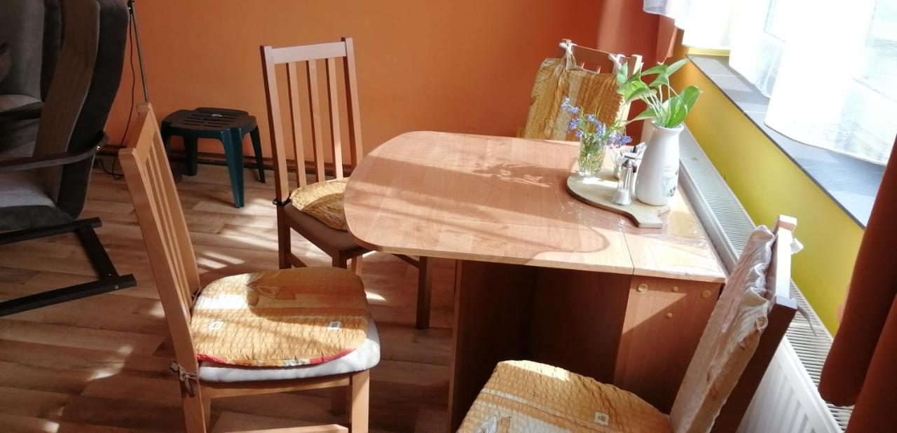 Plne Vybaveny 2+1Byt S Balkonem A Koji Pro Kola A Lyze. Rokytnice v Orlických Horách Kültér fotó